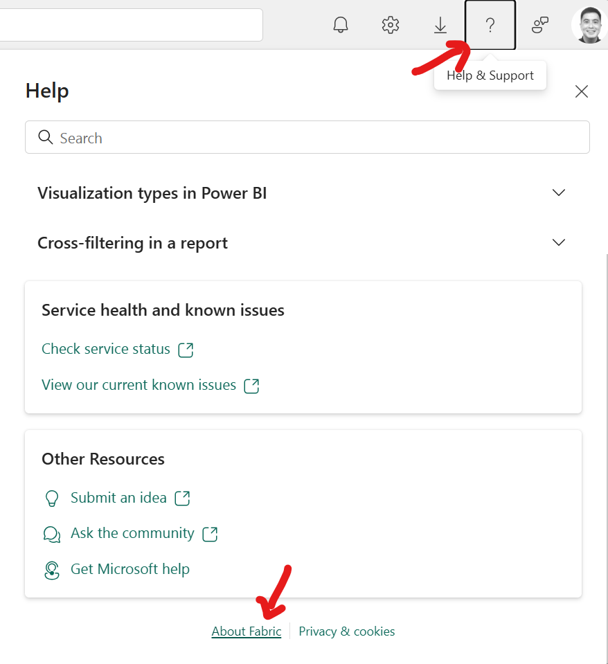Accessing the Fabric Home Region