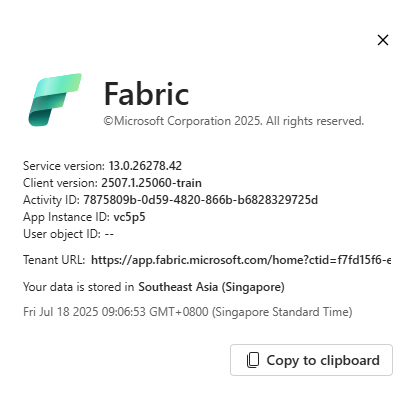 Details including Fabric Home Region
